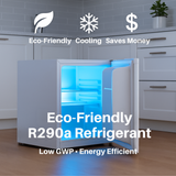 R290 Refrigerant Complete Recharge Kit, Single Manifold Set, 8oz. Can and BPV Included